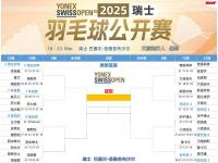 B体育体育官网入口-瑞士客场获胜，靠欧洲杯资格赛晋级