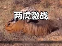 B体育体育官方-场上对决激烈难分胜负，精彩纷呈情景