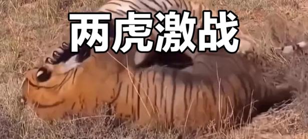 B体育体育官方-场上对决激烈难分胜负，精彩纷呈情景