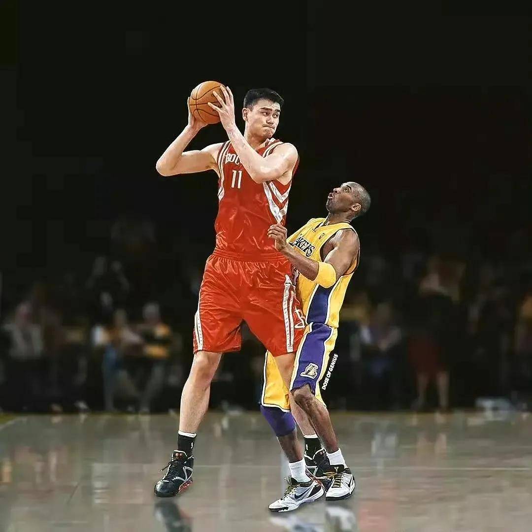 体育界最顶尖运动员们的精彩表现 体育界最顶尖运动员们的精彩表现