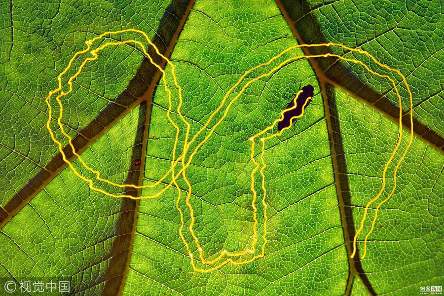 红红火火,欧洲之巅争夺即将揭晓的简单介绍 红红火火,欧洲之巅争夺即将揭晓的简单介绍